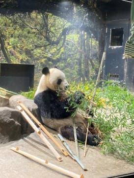 恩賜上野動物園に投稿された画像（2025/12/23）