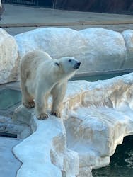 恩賜上野動物園に投稿された画像（2025/12/23）
