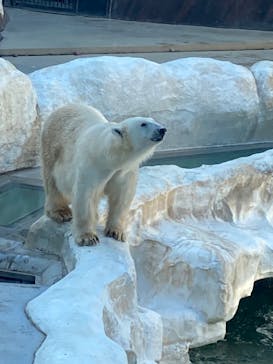 恩賜上野動物園に投稿された画像（2025/12/23）