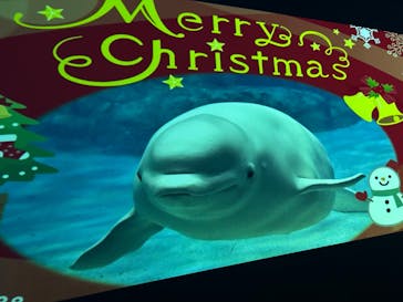 名古屋港水族館に投稿された画像（2025/12/23）