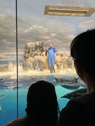 名古屋港水族館に投稿された画像（2025/12/23）