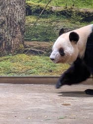 恩賜上野動物園に投稿された画像（2025/12/23）