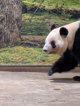恩賜上野動物園に投稿された画像（2025/12/23）