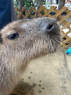 横浜・八景島シーパラダイスに投稿された画像（2025/12/23）