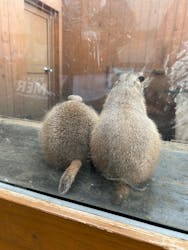 横浜・八景島シーパラダイスに投稿された画像（2025/12/23）