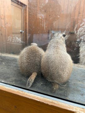 横浜・八景島シーパラダイスに投稿された画像（2025/12/23）