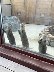 横浜・八景島シーパラダイスに投稿された画像（2025/12/23）