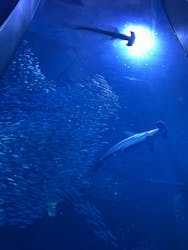 横浜・八景島シーパラダイスに投稿された画像（2025/12/23）