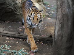 恩賜上野動物園に投稿された画像（2025/12/23）