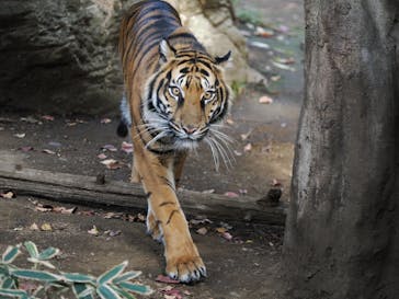 恩賜上野動物園に投稿された画像（2025/12/23）