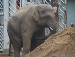 恩賜上野動物園に投稿された画像（2025/12/23）