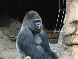 恩賜上野動物園に投稿された画像（2025/12/23）