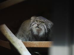 恩賜上野動物園に投稿された画像（2025/12/23）