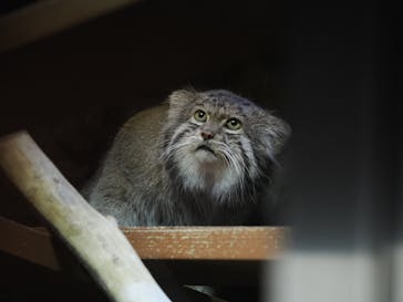 恩賜上野動物園に投稿された画像（2025/12/23）