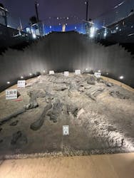 福井県立恐竜博物館に投稿された画像（2025/12/23）