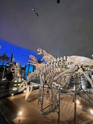 福井県立恐竜博物館に投稿された画像（2025/12/23）