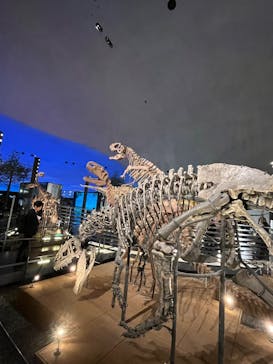 福井県立恐竜博物館に投稿された画像（2025/12/23）