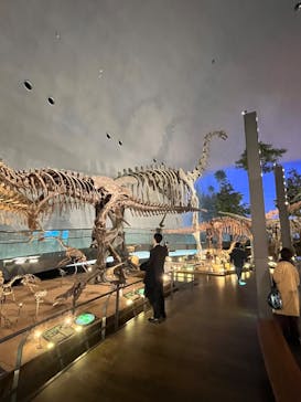 福井県立恐竜博物館に投稿された画像（2025/12/23）
