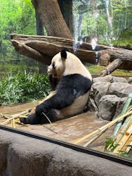 恩賜上野動物園に投稿された画像（2025/12/23）