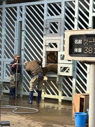 恩賜上野動物園に投稿された画像（2025/12/23）