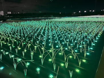 東京メガイルミに投稿された画像（2025/12/23）