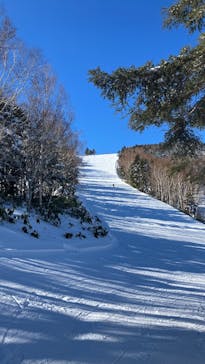 志賀高原焼額山スキー場に投稿された画像（2025/12/23）