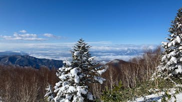 志賀高原焼額山スキー場に投稿された画像（2025/12/23）