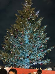 Christmas Market in 横浜赤レンガ倉庫 2025に投稿された画像（2025/12/23）