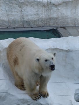 恩賜上野動物園に投稿された画像（2025/12/23）