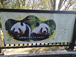 恩賜上野動物園に投稿された画像（2025/12/23）