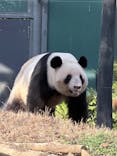 恩賜上野動物園に投稿された画像（2025/12/23）