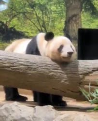 恩賜上野動物園に投稿された画像（2025/12/23）