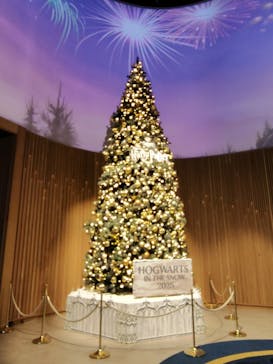 ワーナー ブラザース スタジオツアー東京 - メイキング・オブ・ハリー・ポッターに投稿された画像（2025/12/23）