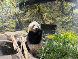 恩賜上野動物園に投稿された画像（2025/12/23）