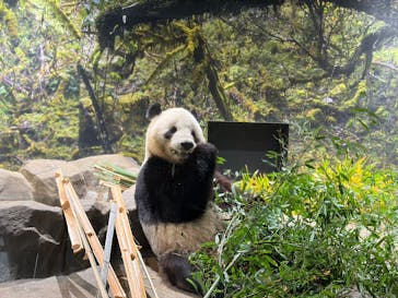 恩賜上野動物園に投稿された画像（2025/12/23）