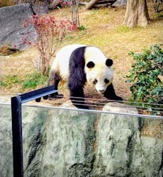 恩賜上野動物園に投稿された画像（2025/12/23）