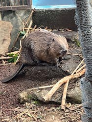 伊豆シャボテン動物公園に投稿された画像（2025/12/23）