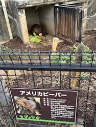 伊豆シャボテン動物公園に投稿された画像（2025/12/23）