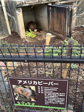 伊豆シャボテン動物公園に投稿された画像（2025/12/23）
