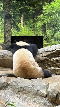 恩賜上野動物園に投稿された画像（2025/12/23）