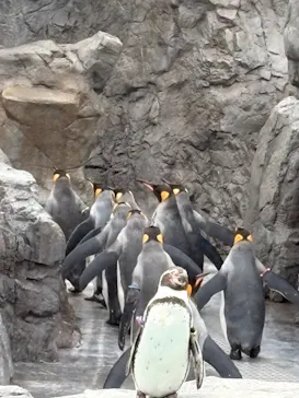 葛西臨海水族園に投稿された画像（2025/12/23）