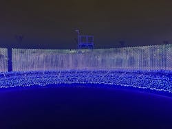 東京メガイルミに投稿された画像（2025/12/23）