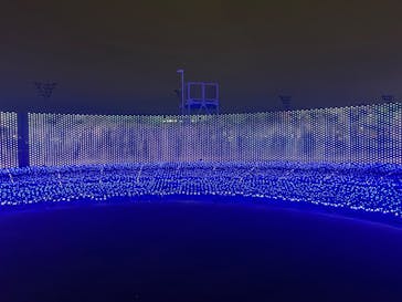 東京メガイルミに投稿された画像（2025/12/23）