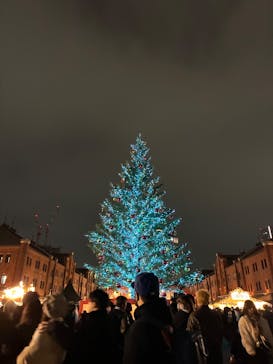 Christmas Market in 横浜赤レンガ倉庫 2025に投稿された画像（2025/12/23）