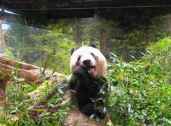 恩賜上野動物園に投稿された画像（2025/12/23）