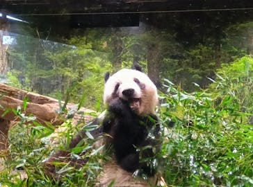 恩賜上野動物園に投稿された画像（2025/12/23）
