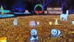 つま恋イルミネーションに投稿された画像（2025/12/23）