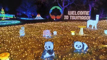 つま恋イルミネーションに投稿された画像（2025/12/23）