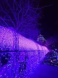 江の島1dayに投稿された画像（2025/12/23）