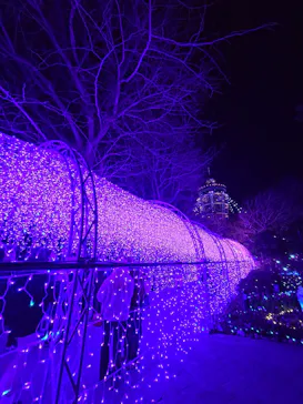 江の島1dayに投稿された画像（2025/12/23）